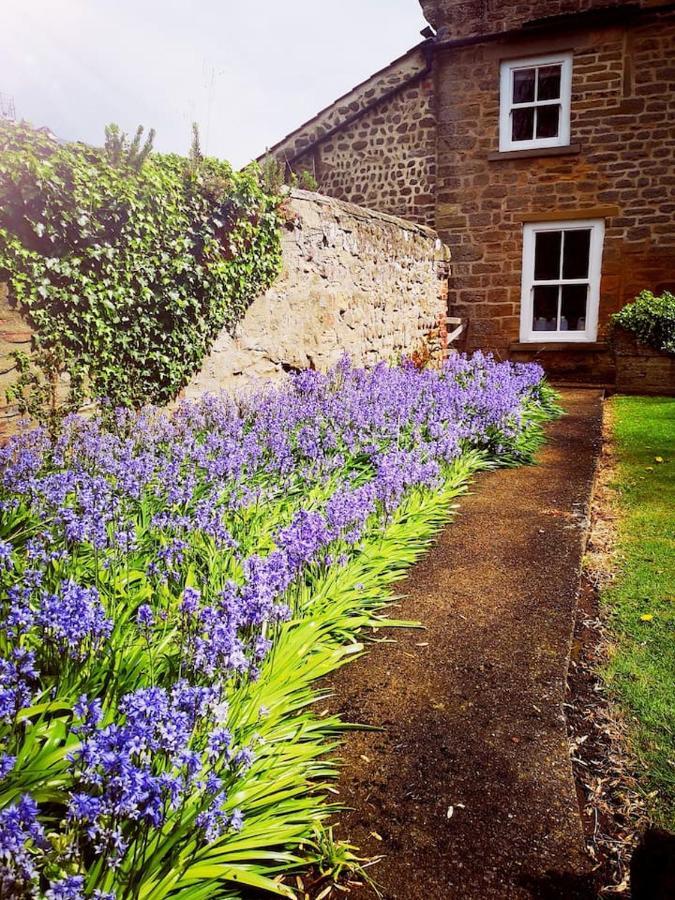 Grange Farm Lodge Ripon Exteriér fotografie